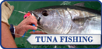 Cuda 2, South Africa Fishing Charters, Hermanus Tuna Fishing