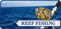 Cuda 2, South Africa Fishing Charters, Hermanus Reff Fishing