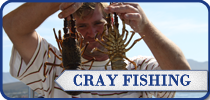 Cuda 2, South Africa Fishing Charters, Hermanus Crayfish